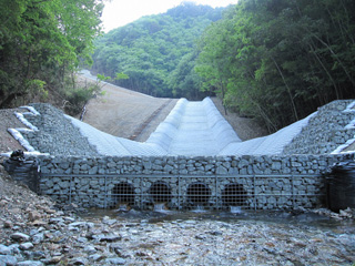 熊野川長殿地区河道閉塞緊急対策工事