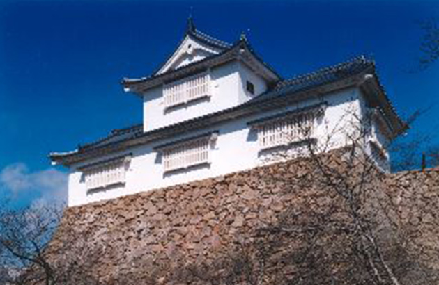 Tsuyama Castle (2005)