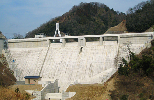 Nika dam (2011)