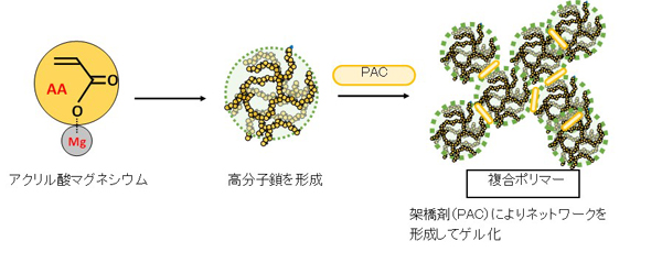 図1　ゲル形成のメカニズム.jpg